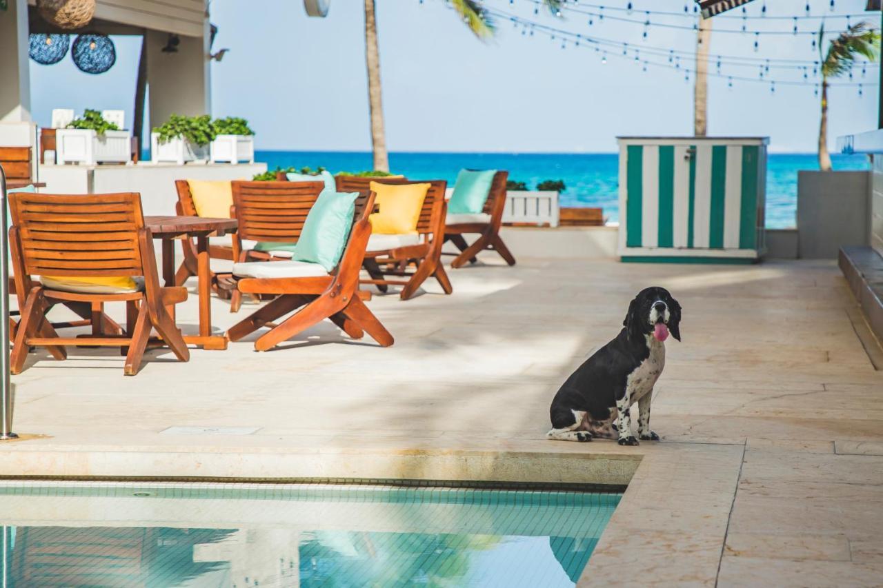 Thompson Playa Del Carmen Beach House, By Hyatt Экстерьер фото