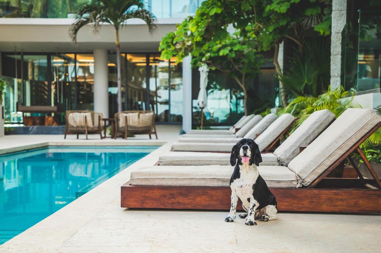 Thompson Playa Del Carmen Beach House, By Hyatt Экстерьер фото